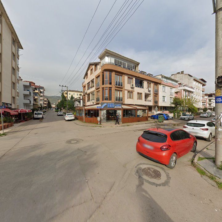 Fotoğraf 11