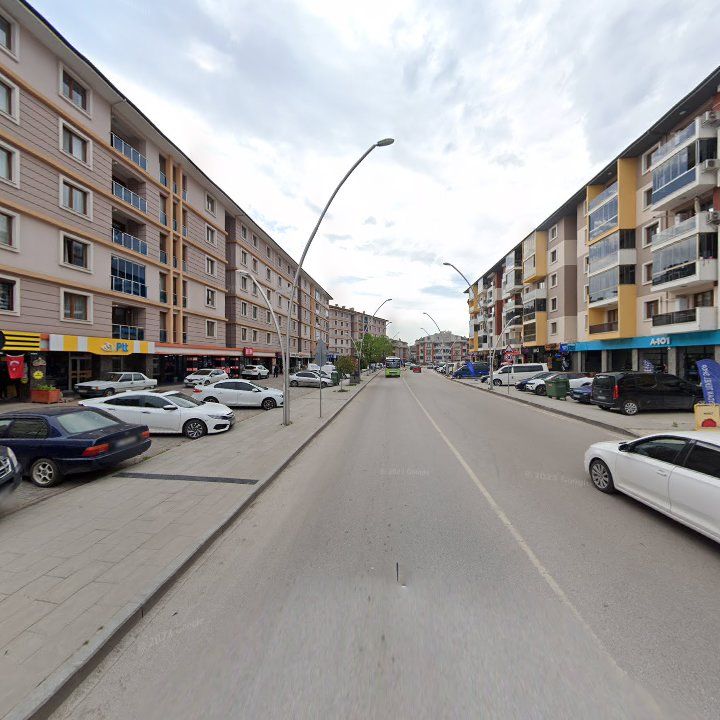 Fotoğraf 10