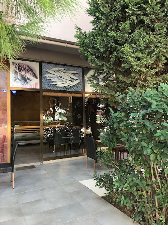 PAPALiNA BALIK (Balıkçı Sercan)