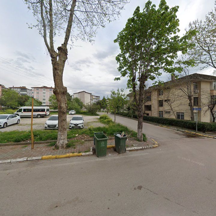 Fotoğraf 8