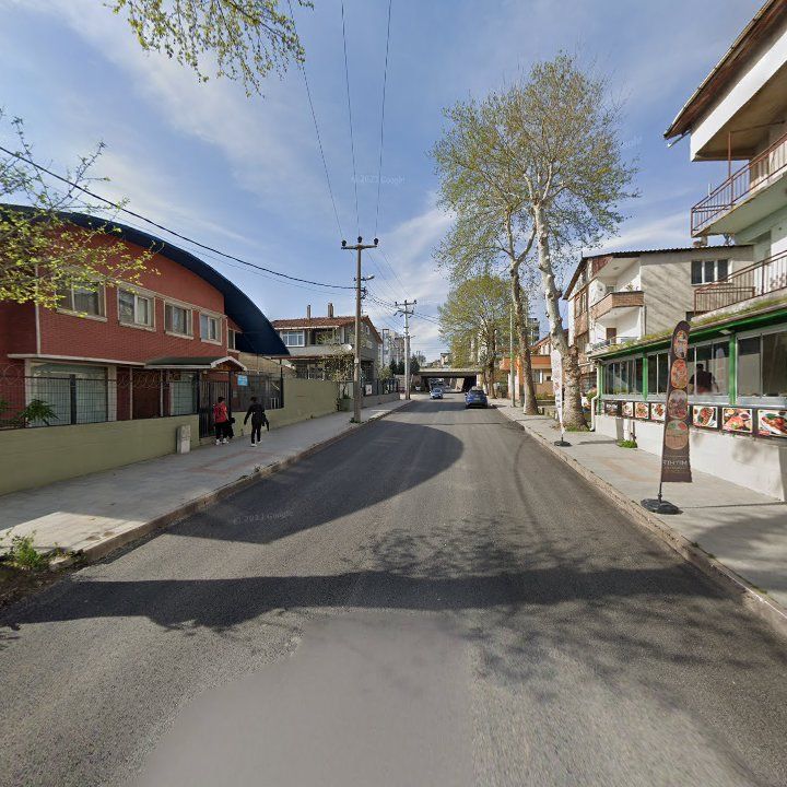 Fotoğraf 11