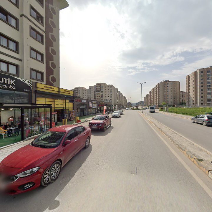 Fotoğraf 11