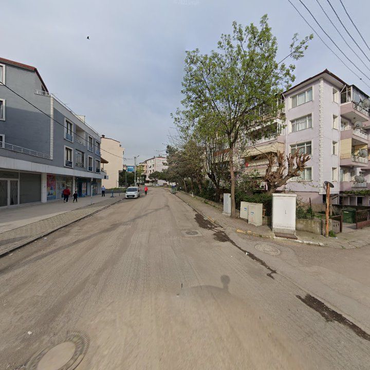 Fotoğraf 6