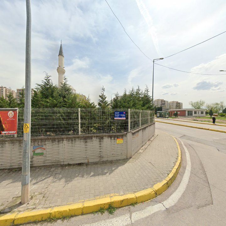 Fotoğraf 8