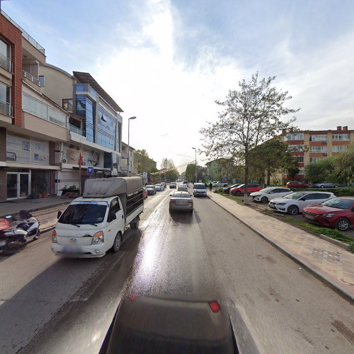 Fotoğraf 9