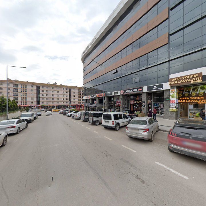 Fotoğraf 9