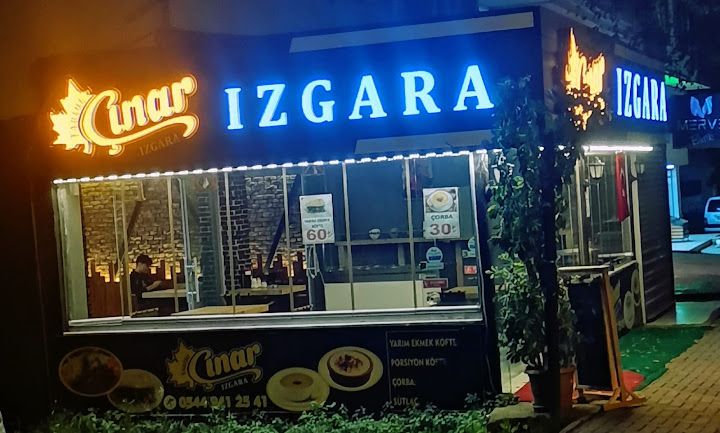 Tarihi Çınar Izgara