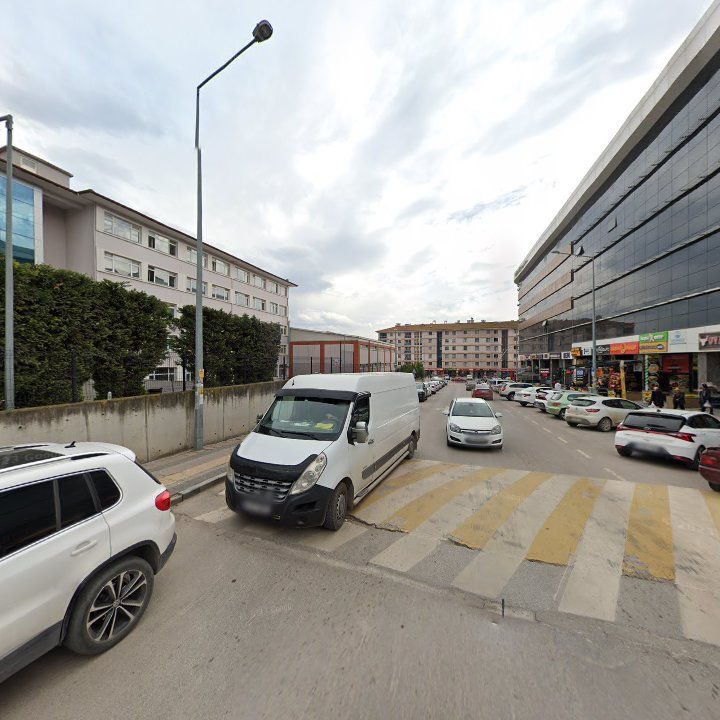 Fotoğraf 10