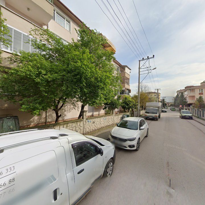 Fotoğraf 11