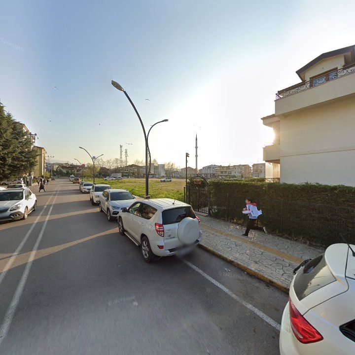 Fotoğraf 10