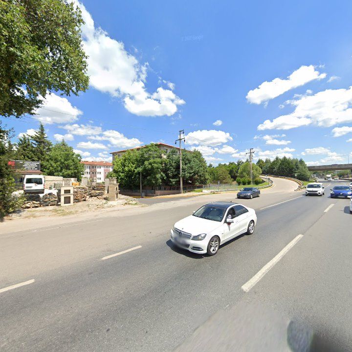 Fotoğraf 16