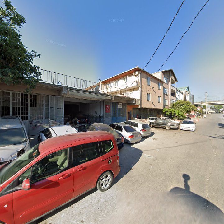 Fotoğraf 7