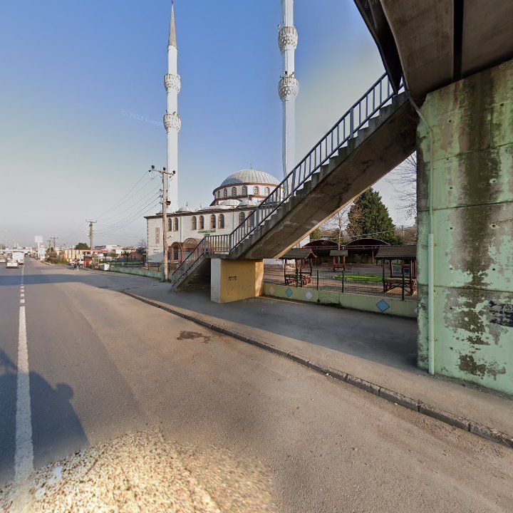 Fotoğraf 4