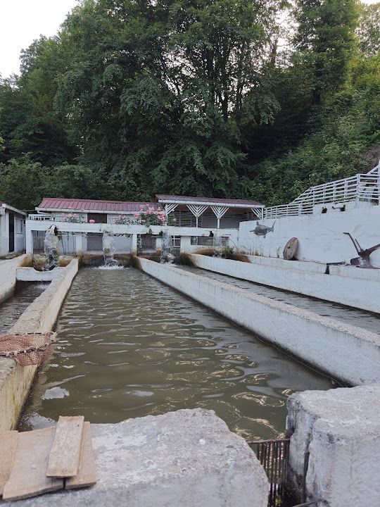 Gökküşağı Balık