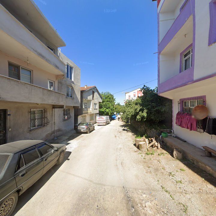 Fotoğraf 4