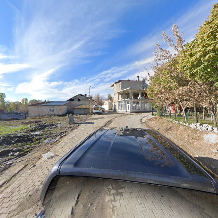 Fotoğraf 8