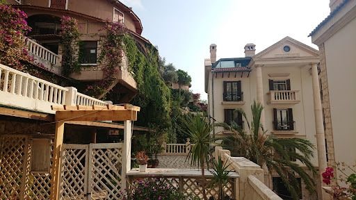 Yorum fotoğrafı 10