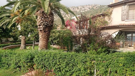 Yorum fotoğrafı 5