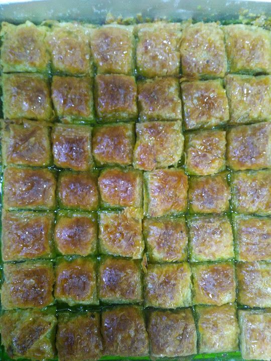 Fotoğraf 21