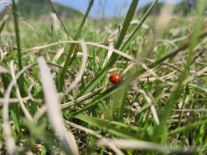 Yorum fotoğrafı 6