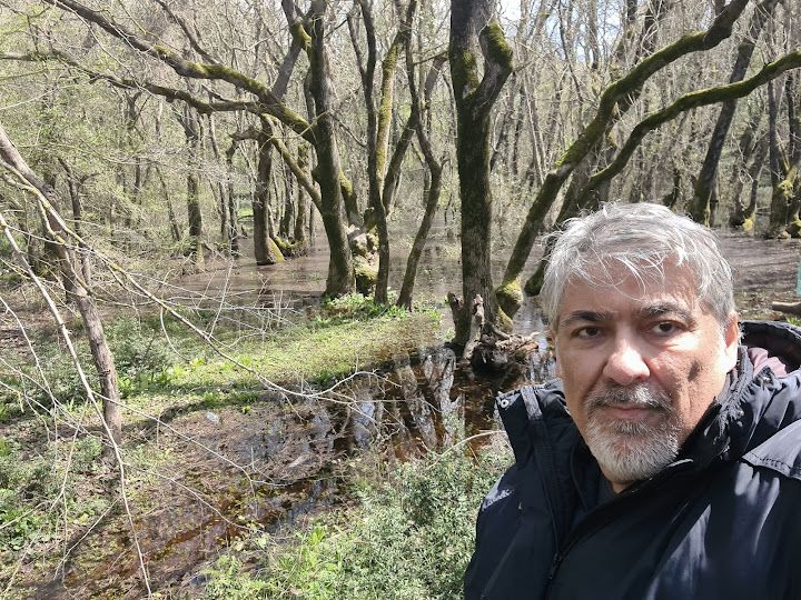 Yorum fotoğrafı 9