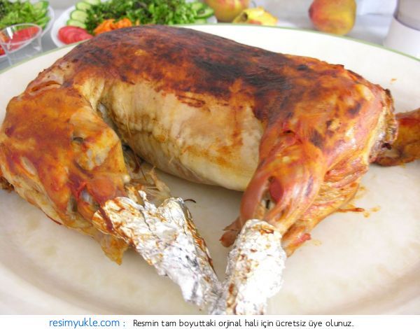 Fotoğraf 23