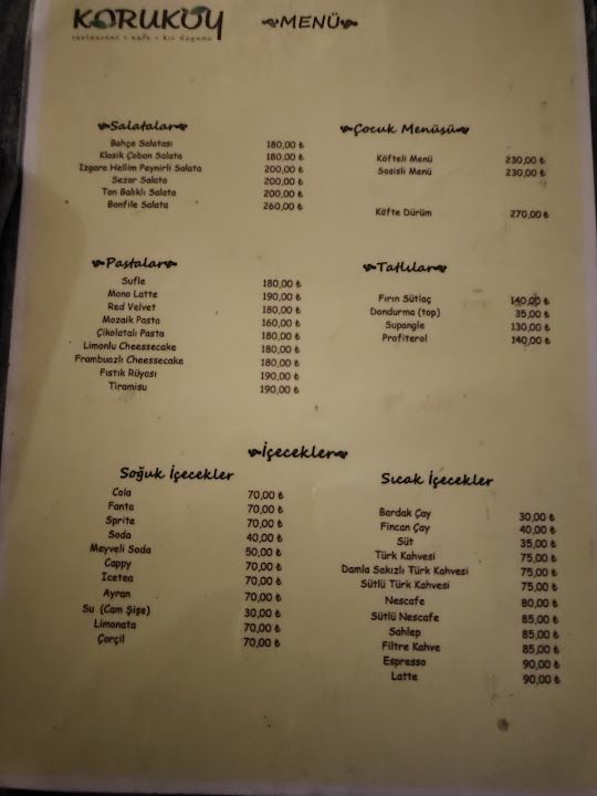 Fotoğraf 30