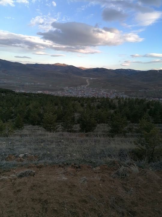 Fotoğraf 2