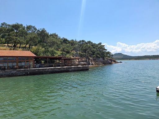 Fotoğraf 11