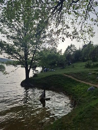 Yorum fotoğrafı 5