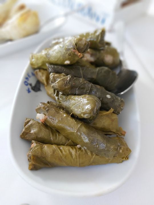 Fotoğraf 41