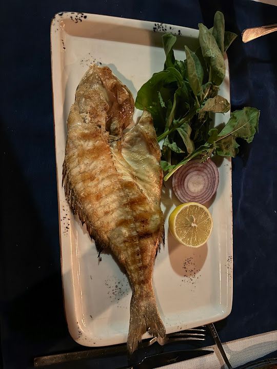 Fotoğraf 45