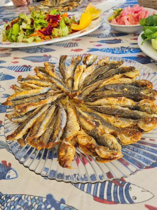 Fotoğraf 16