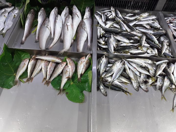 Fotoğraf 19