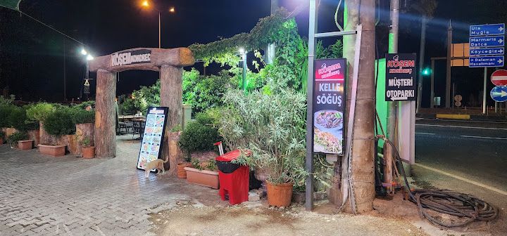 Fotoğraf 48