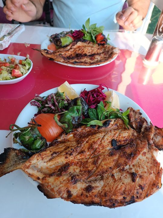Fotoğraf 11