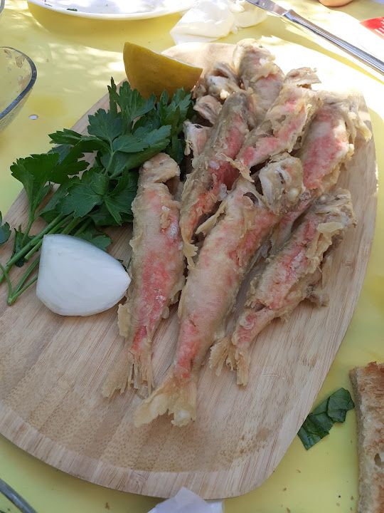 Fotoğraf 25