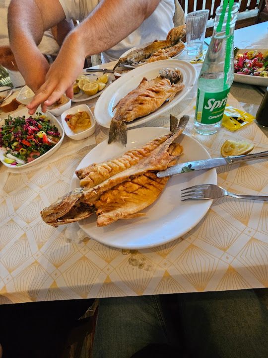 Fotoğraf 39