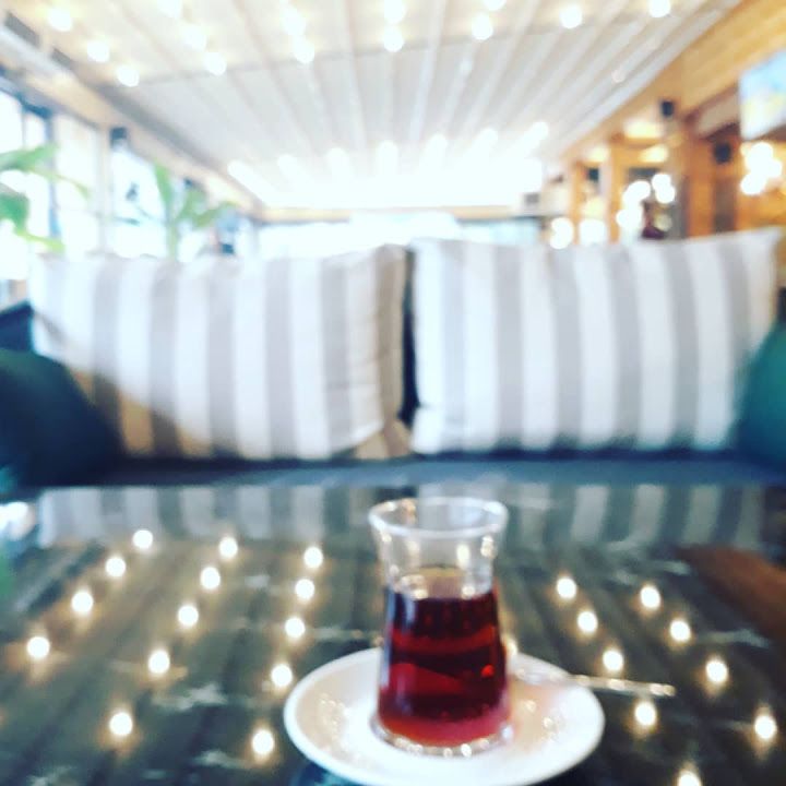 Fotoğraf 15