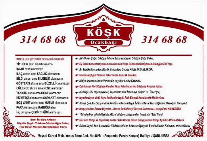 Fotoğraf 14