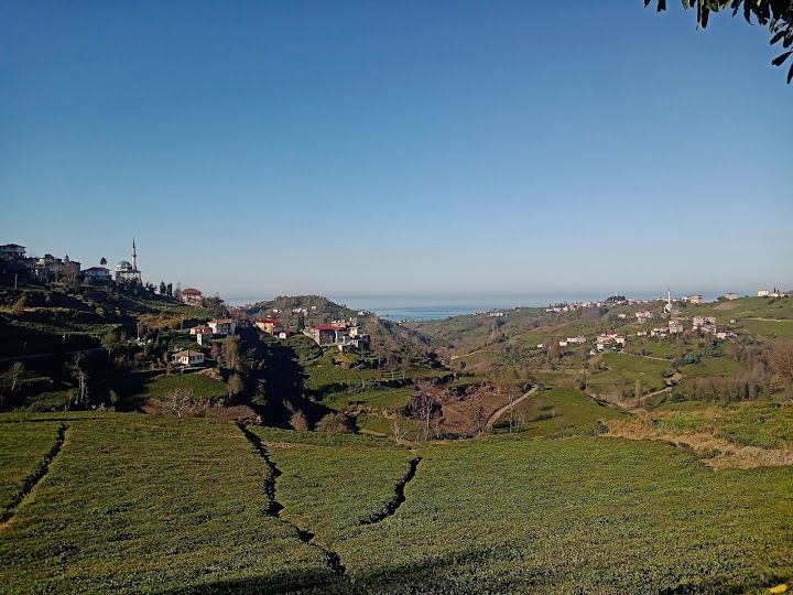 Yorum fotoğrafı 2