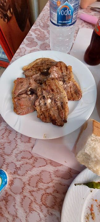 Fotoğraf 14