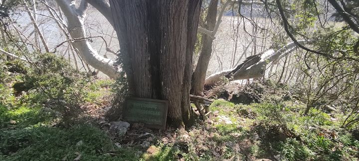 Yorum fotoğrafı 3