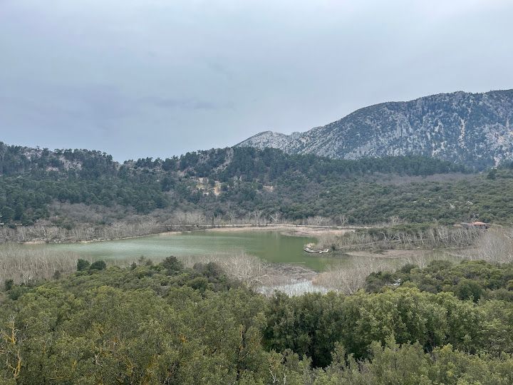 Yorum fotoğrafı 4