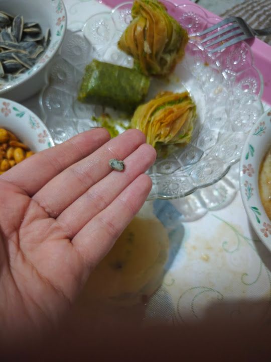 Fotoğraf 15