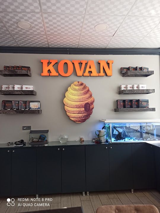 Fotoğraf 13