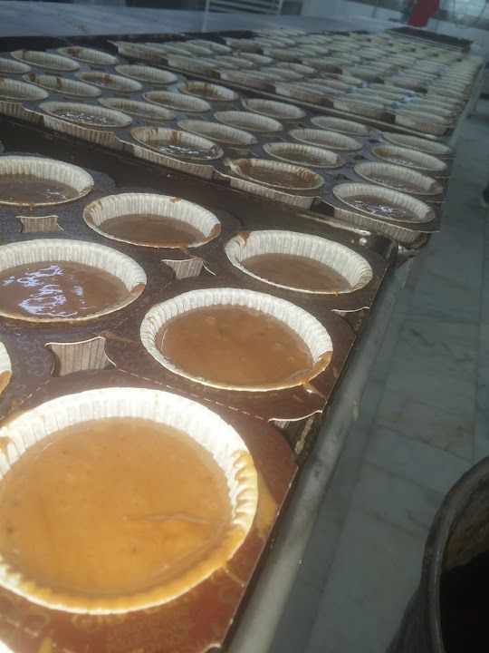 Fotoğraf 15