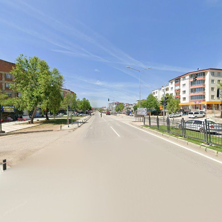 Fotoğraf 10