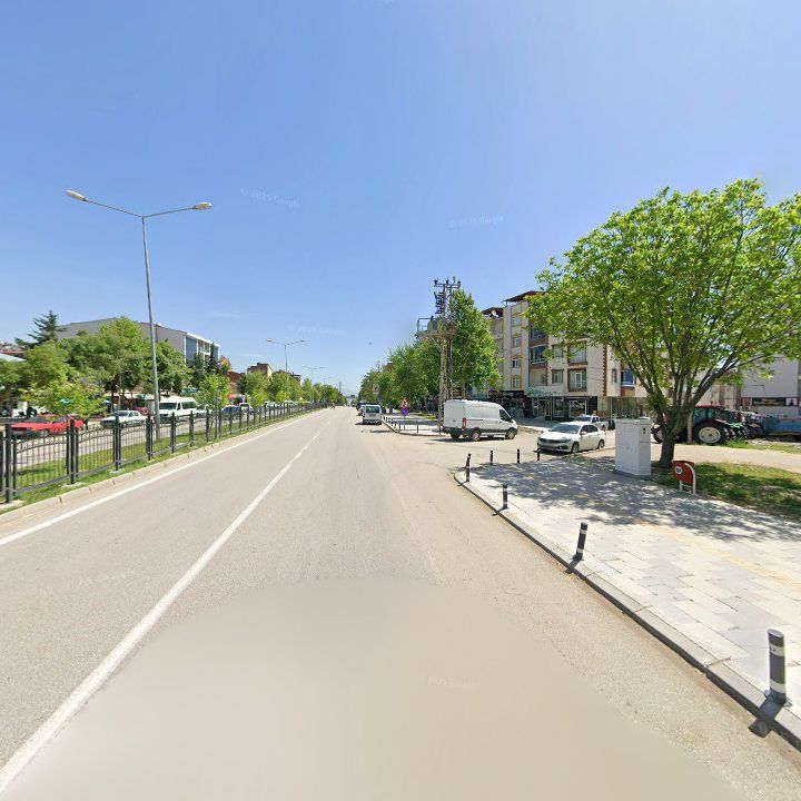 Fotoğraf 12