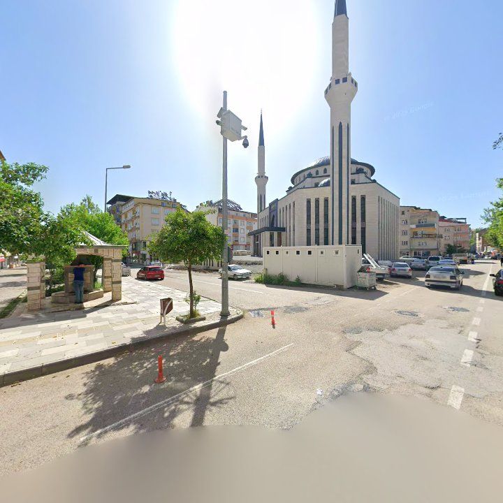 Fotoğraf 8